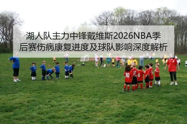 湖人队主力中锋戴维斯2026NBA季后赛伤病康复进度及球队影响深度解析